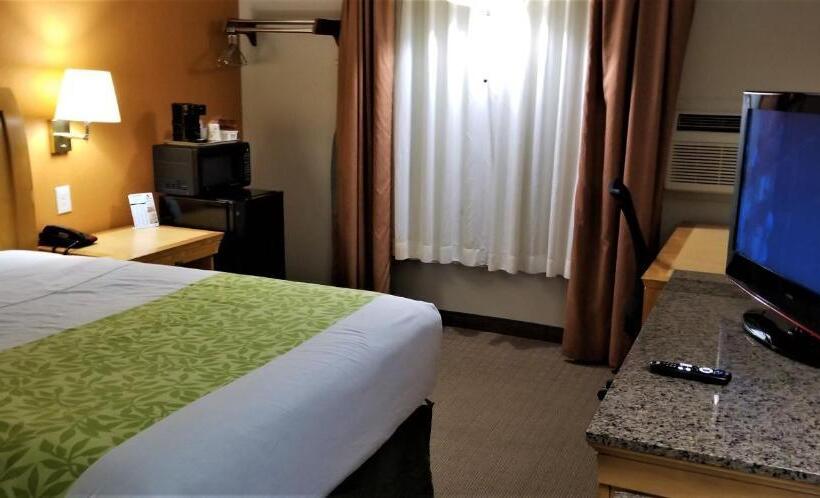 스탠다드 룸, Lyons Inn