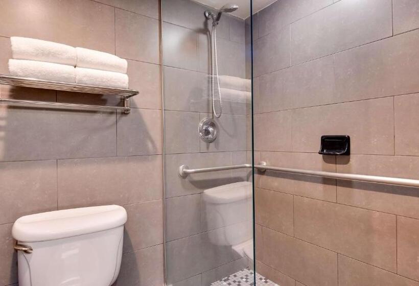 Стандартный Номер Кровать Кинг, Best Western Plus Sundial
