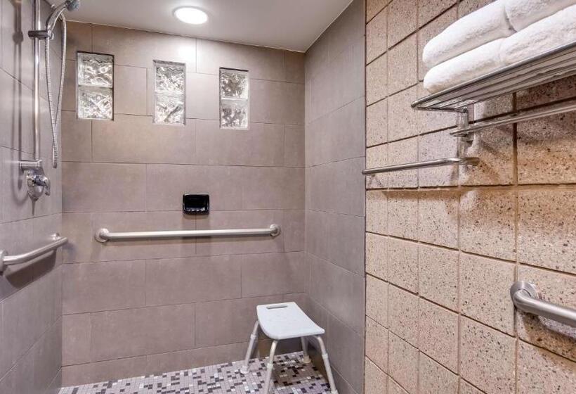Номер Стандарт Кровать Кинг Адаптированный для Инвалидов, Best Western Plus Sundial