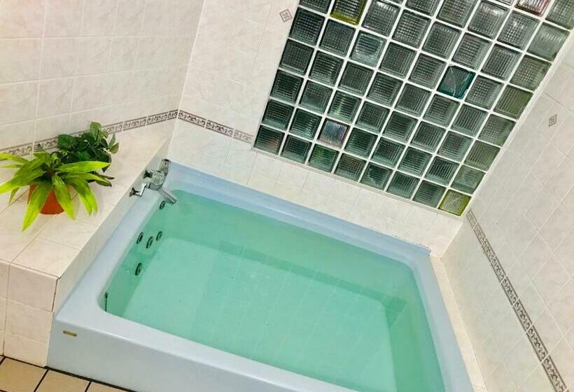 اتاق استاندارد یک نفره, 新橋旅館 Shinbashi_ryokan