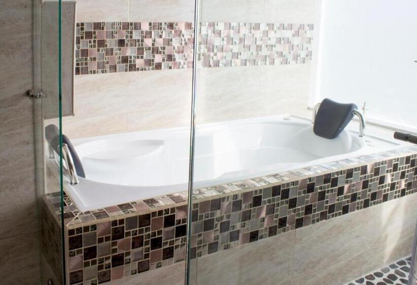 Люкс Кровать Кинг, Apartahotel Lion