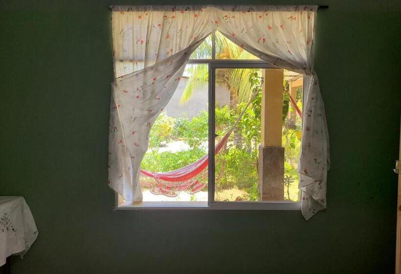 스탠다드 싱글 룸, Sophie House