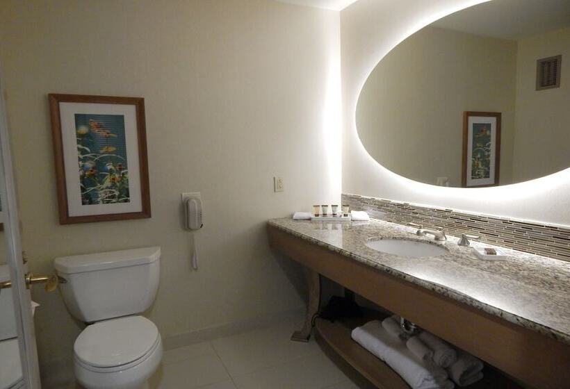 Habitació Estàndard Llit Queen, Moody Gardens Hotel Spa And Convention Center