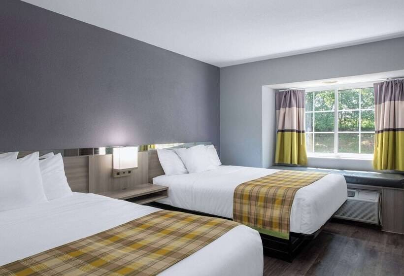 غرفة قياسية لذوى الاحتياجات الخاصة, Microtel Inn By Wyndham Spartanburg Duncan