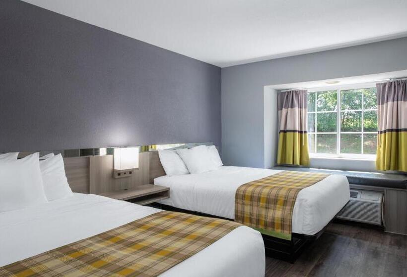 غرفة قياسية لذوى الاحتياجات الخاصة, Microtel Inn By Wyndham Spartanburg Duncan