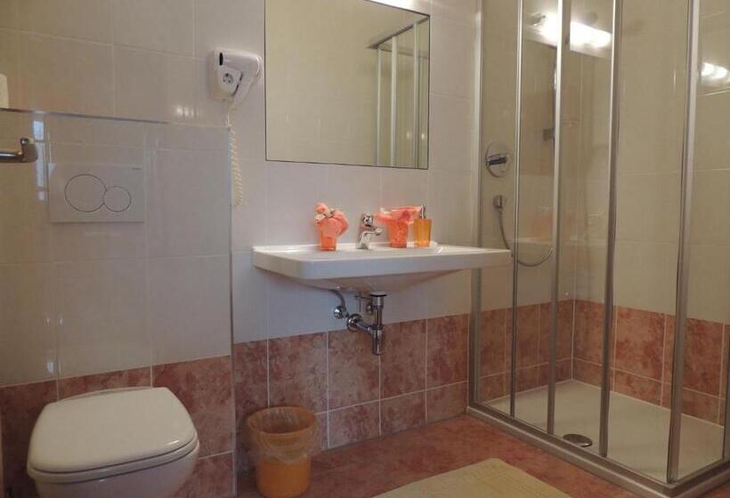 Номер Стандарт с Балконом, Gästehaus Regina