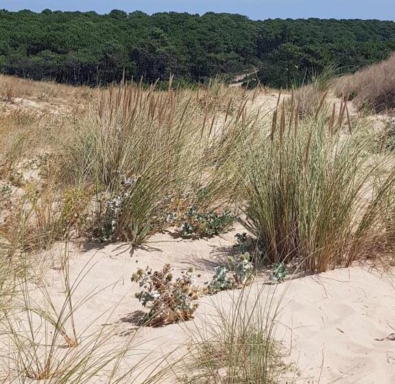 Апартаменты 2 Спальни, Le Mas Des Landes