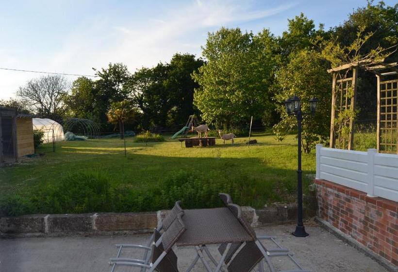 Номер Стандарт с Террасой, Picabreiz