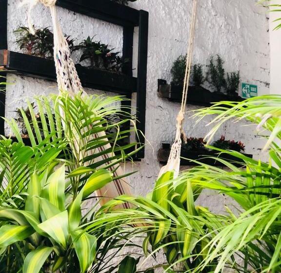 Номер Стандарт, Casa Egos Pop Laureles