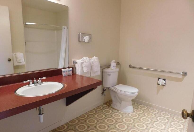 스탠다드 룸 킹사이즈 침대, Pacific Gardens Inn