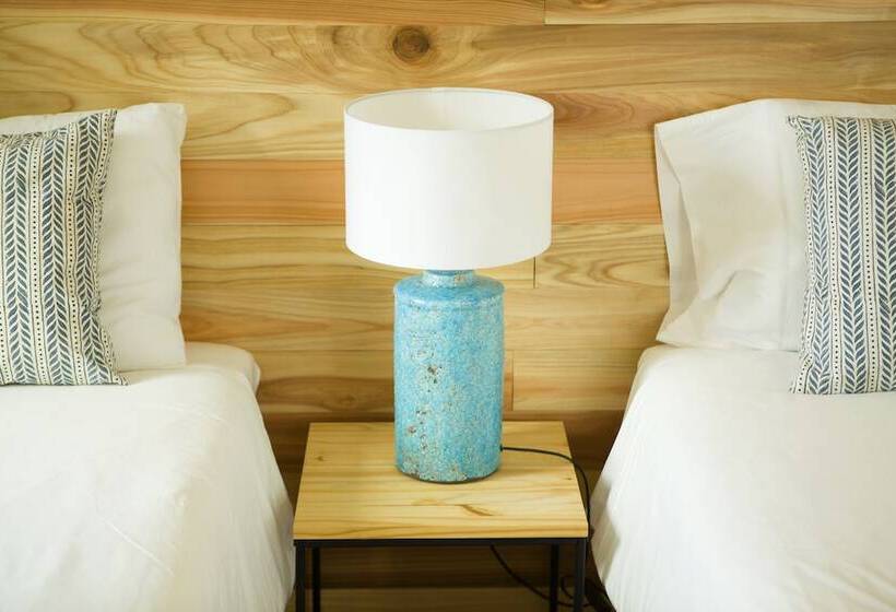Номер Стандарт, The Holy Cow  Hostel & Suites