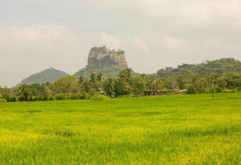Номер Стандарт с Балконом, Royal Rock Sigiriya