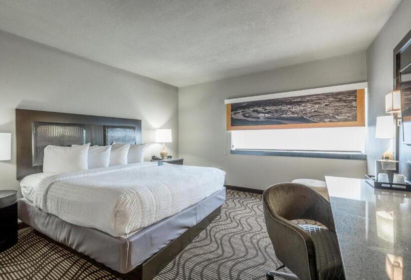 Cameră Standard Pat King Size, District 3 Hotel, Ascend Hotel Collection