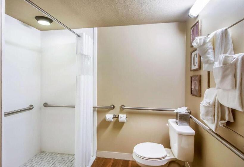 Cameră Standard Adaptată pentru Discapacitaţi, District 3 Hotel, Ascend Hotel Collection
