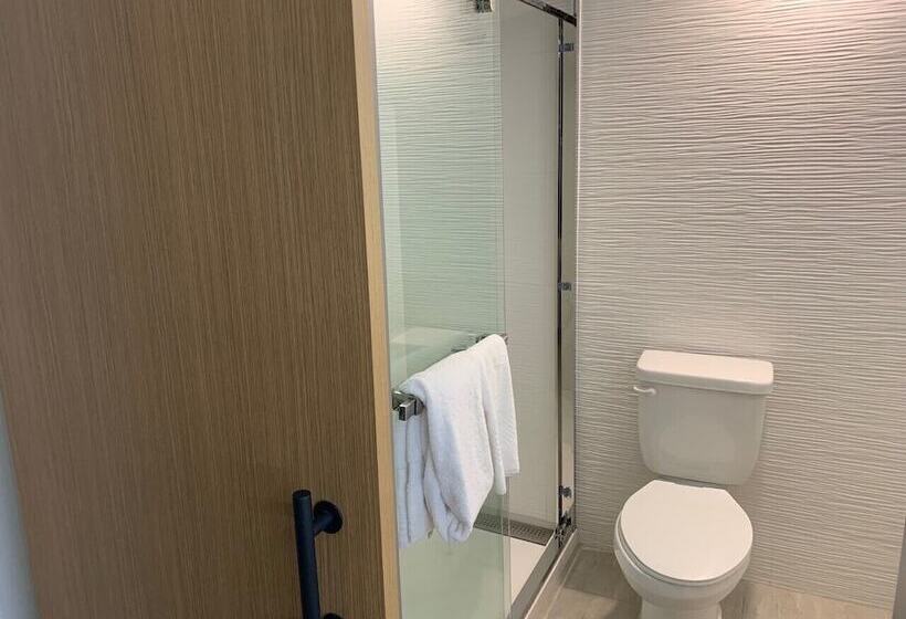 Pokój Standard, Comfort Inn & Suites Nashville Downtown   Stadium