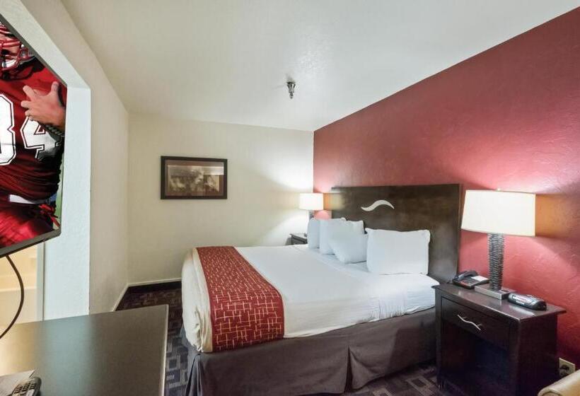 Номер Superior Кровать Кинг, Red Roof Inn Oklahoma Airport I 40 W Fairgrounds