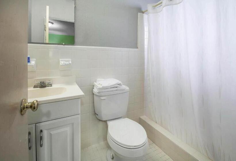 اتاق استاندارد با تخت بزرگ, Rodeway Inn & Suites Winter Haven Chain Of Lakes