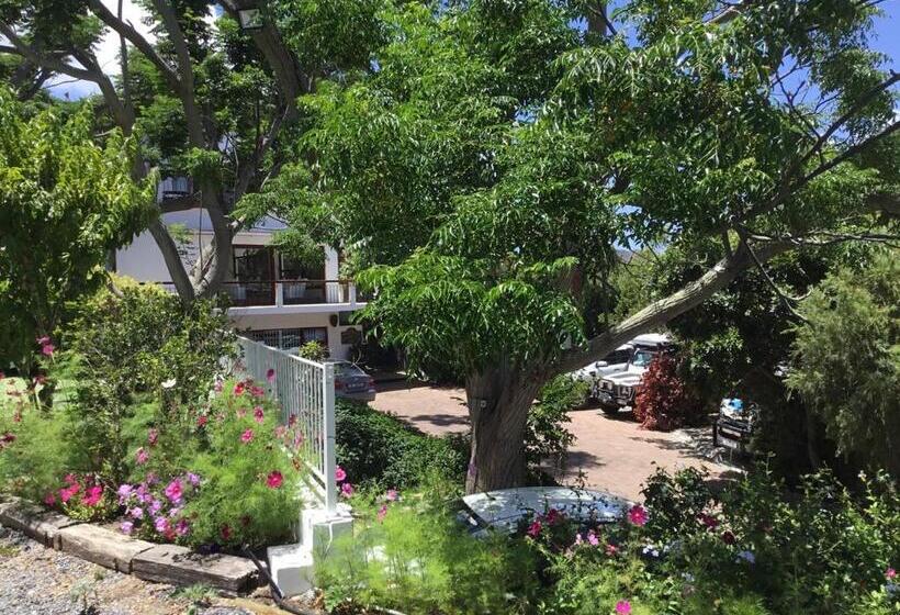 Классический Номер Вид на Море, Oceangolf Guest House