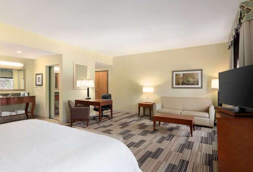 스탠다드 룸 킹사이즈 침대, Hampton Inn O Fallon
