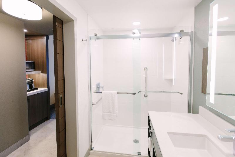اتاق استاندارد با تخت بزرگ, Hilton Garden Inn Winter Park