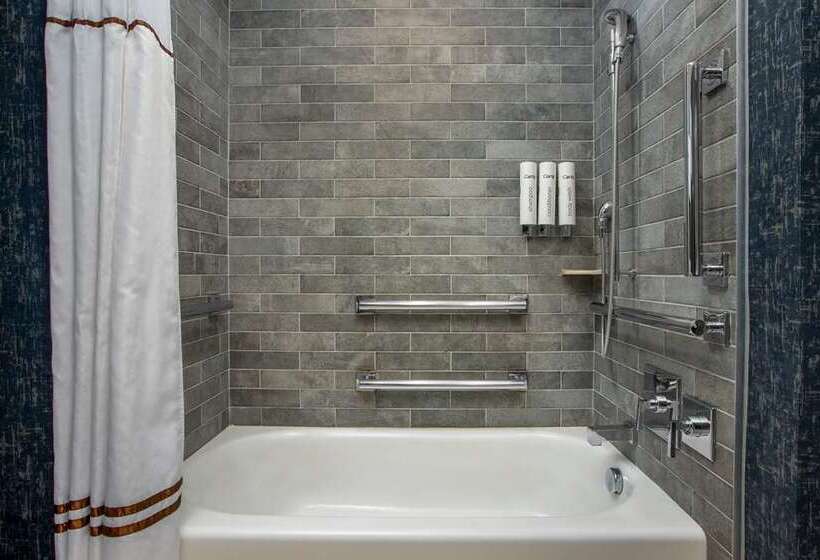 اتاق لوکس با تخت بزرگ, Hilton Garden Inn Winter Park