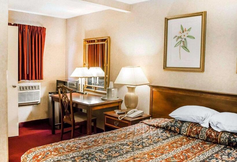 스탠다드 룸 킹사이즈 침대, Rodeway Inn