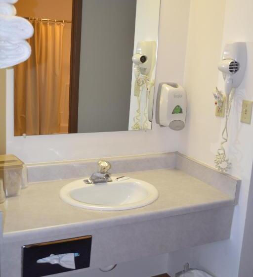 Стандартный Номер Кровать Кинг, Sky Lodge Inn & Suites  Delavan