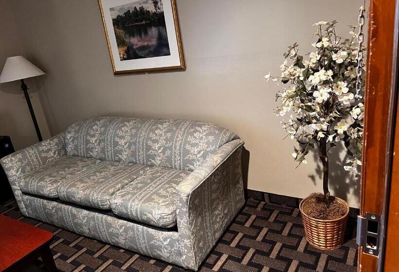 Стандартный Номер Кровать Кинг, Sky Lodge Inn & Suites  Delavan