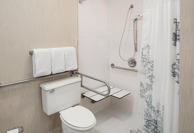 Студия Стандарт, Residence Inn Detroit Troy/madison Heights
