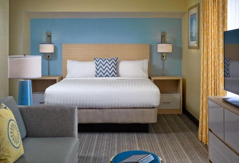 스탠다드 스튜디오 킹침대, Sonesta Es Suites South Brunswick  Princeton