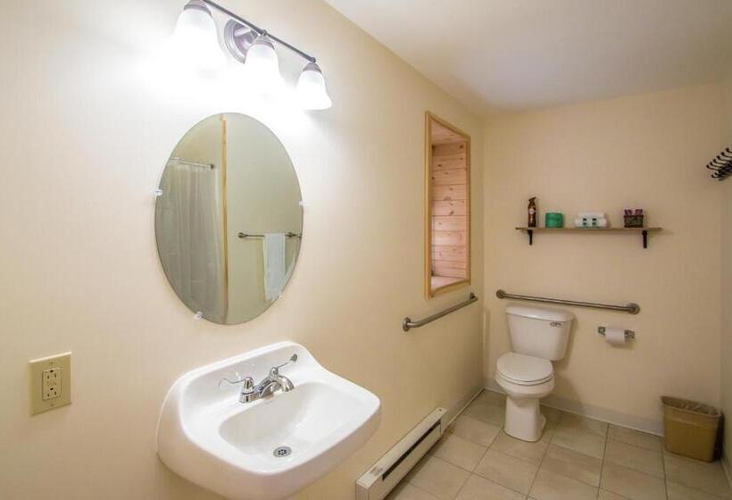Люкс Адаптированный для Инвалидов, Presidential Mountain Resort