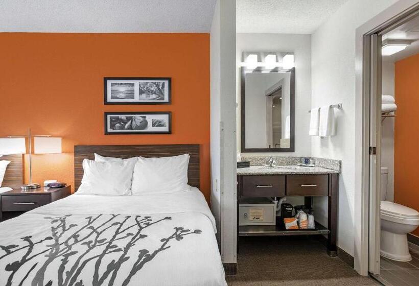 带2个双人床的标准工作室, Sleep Inn Dewitt   Lansing North