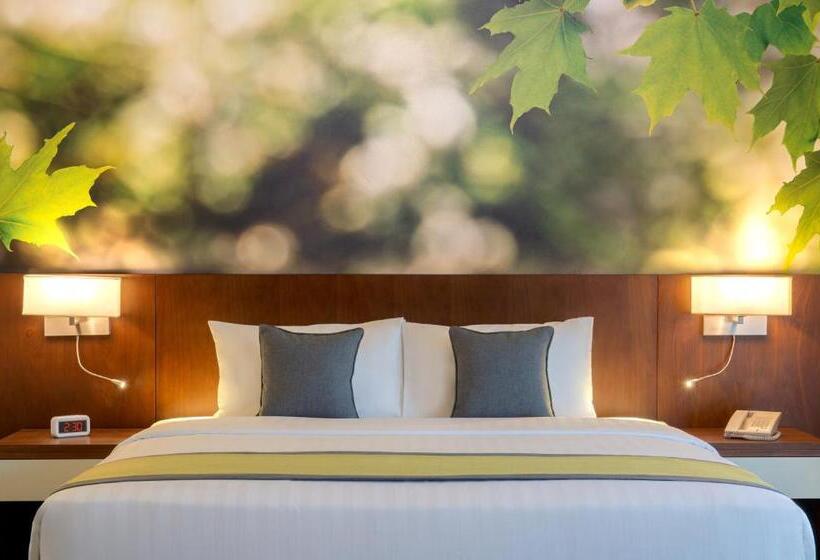 اتاق استاندارد با تخت بزرگ, Wyndham Garden Muscat Al Khuwair