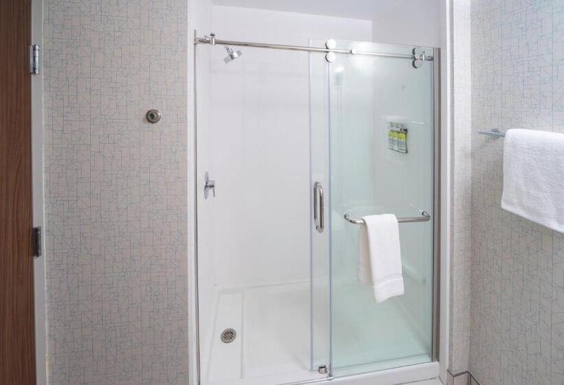이그제큐티브 룸 킹사이즈 침대, Holiday Inn Express   Brevard, An Ihg