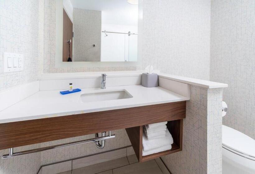 Номер Executive Кровать Кинг, Holiday Inn Express   Brevard, An Ihg