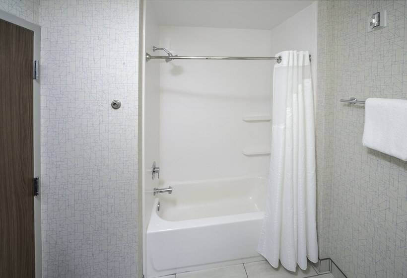 장애인을 위한 스위트, Holiday Inn Express   Brevard, An Ihg