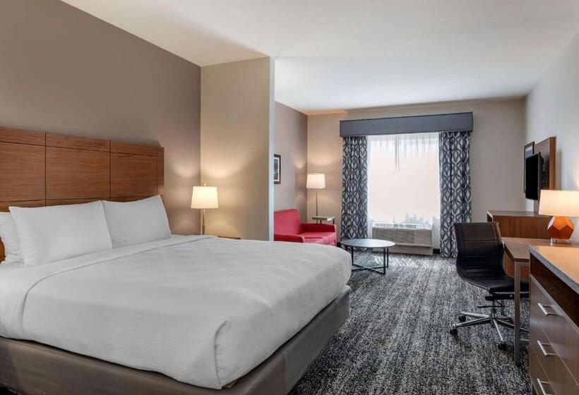장애인을 위한 킹사이즈 침대 스탠다드 룸, Best Western Plus Desert View Inn & Suites