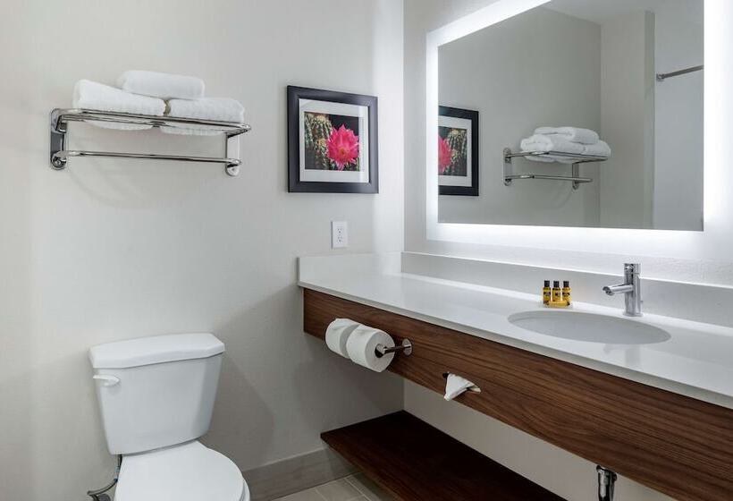 스위트, Best Western Plus Desert View Inn & Suites