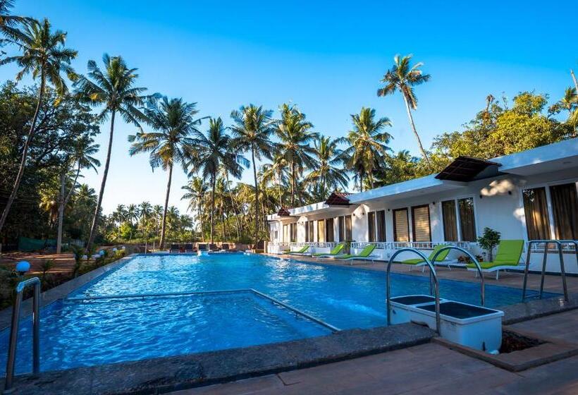 带泳池观景的豪华房, Golden Sands Resort, Morjim
