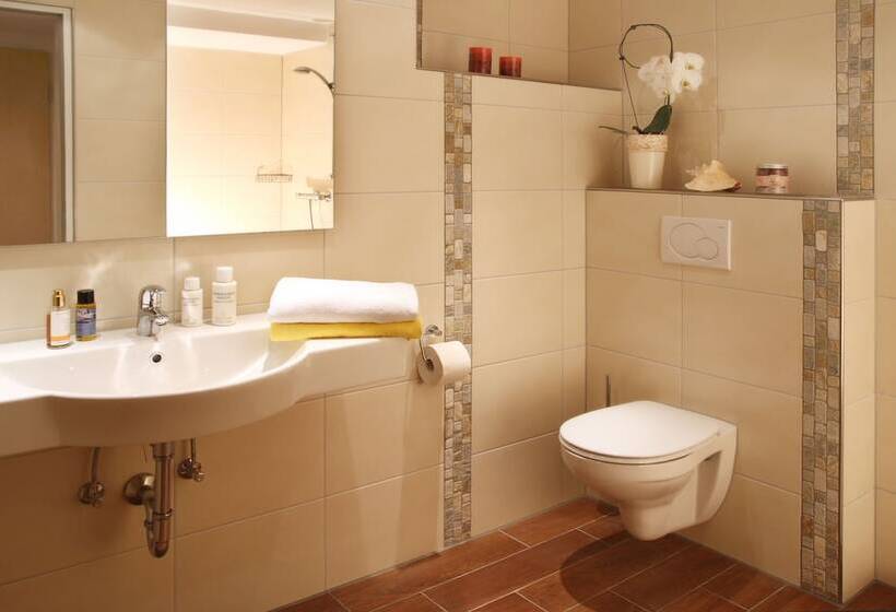Komfort Zimmer, Magdalenenhof Inklusive Meinecardplus