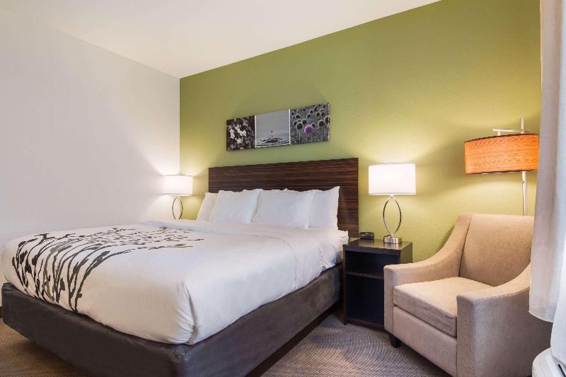 스탠다드 룸 킹사이즈 침대, Sleep Inn East Camden