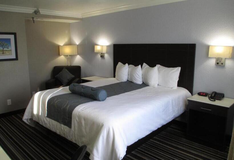 Номер Стандарт Адаптированный для Инвалидов, Best Western Plus Diamond Valley Inn