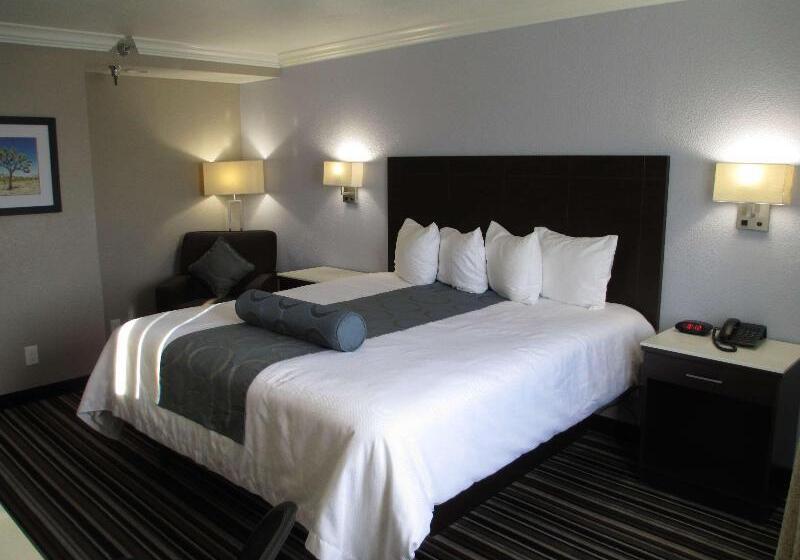 Стандартный Номер Кровать Кинг, Best Western Plus Diamond Valley Inn