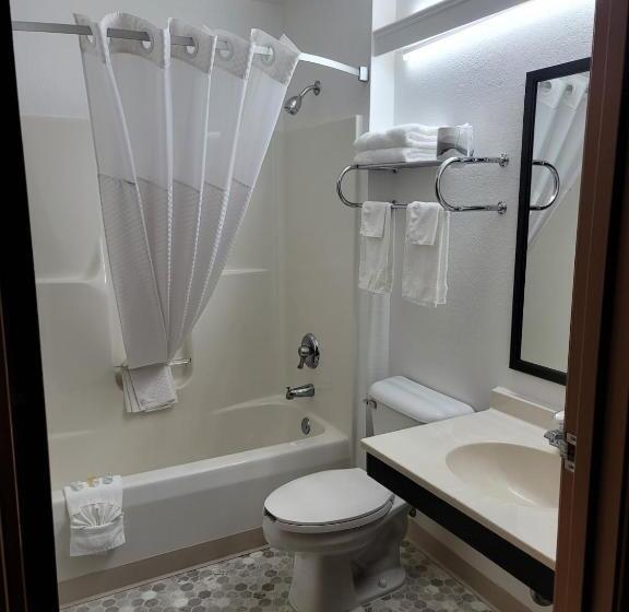 Люкс Deluxe Кровать Кинг, Super 8 By Wyndham Ionia Mi