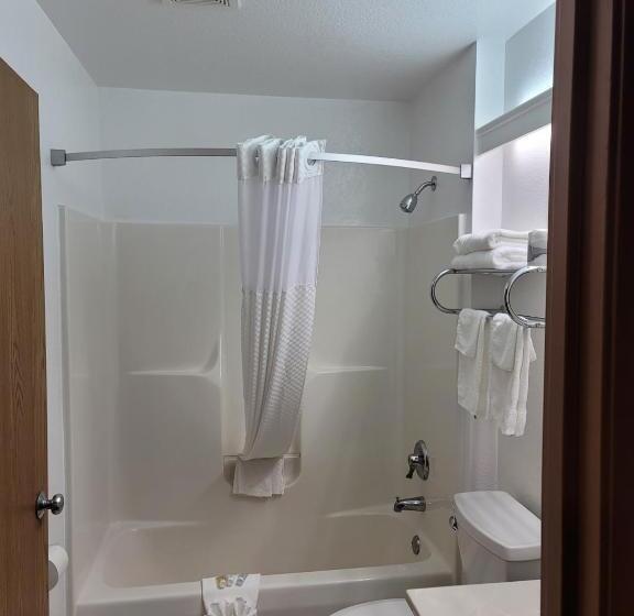 Студия Стандарт, Super 8 By Wyndham Ionia Mi