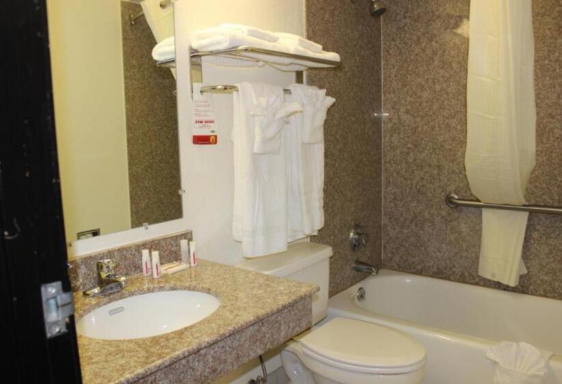 Habitación Estándar, Super 8 By Wyndham Tuscaloosa