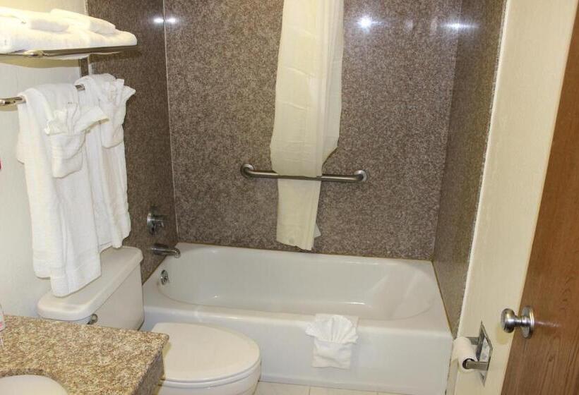 Habitación Estándar Adaptada para Discapacitados, Super 8 By Wyndham Tuscaloosa