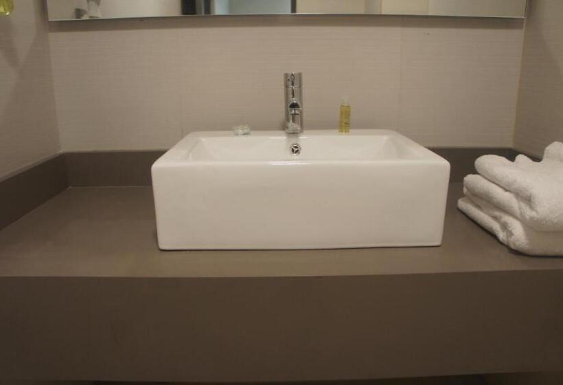 ２ベッドルームスーペリアスイート, Suites San Luis