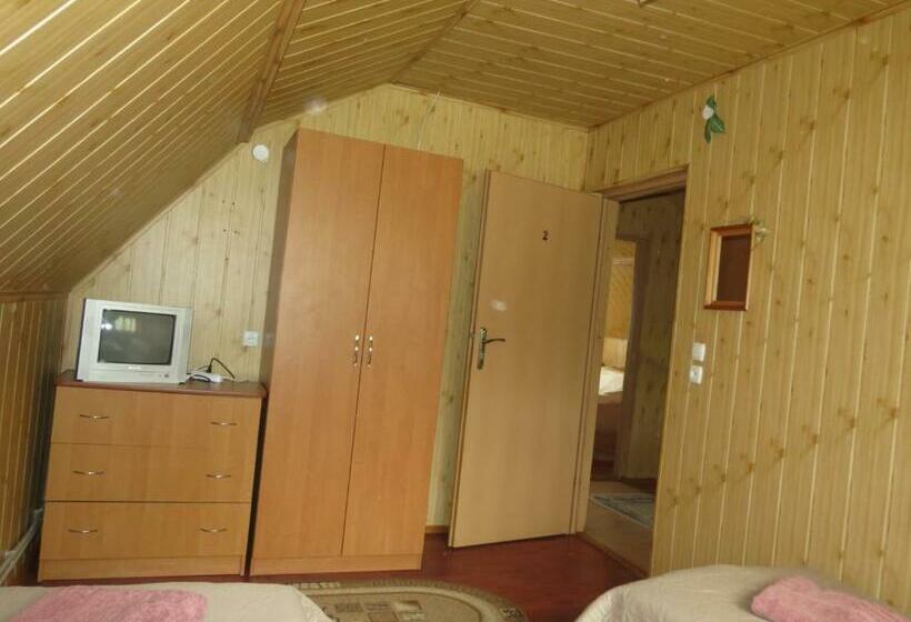 バス共有のスタンダードルーム, Bilyy Kamin Guest House