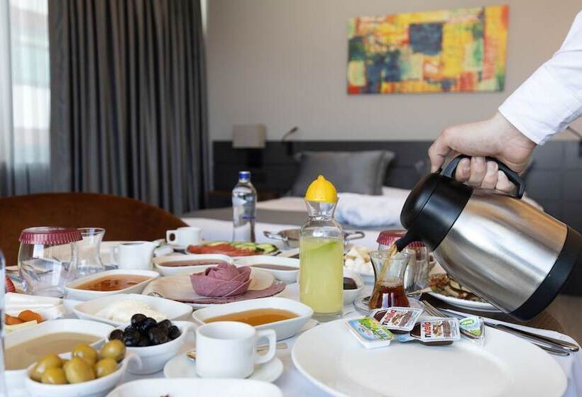 标准间, The Plaza Hotel Edirne